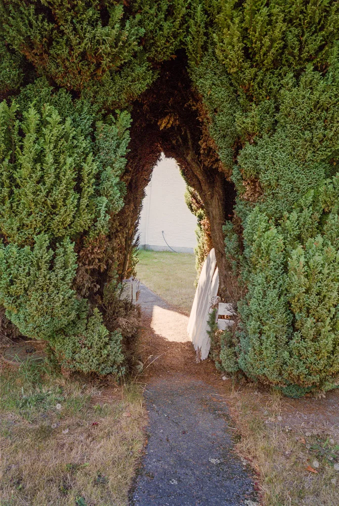 A photograph by Ali Bosworth in the selection Fall 2011