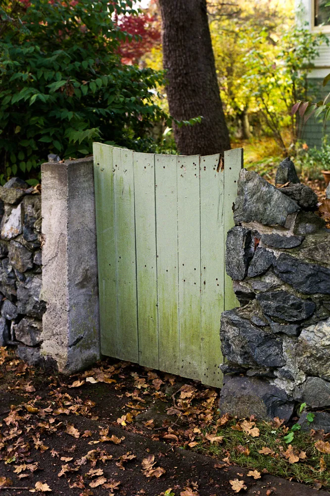 A photograph by Ali Bosworth in the selection Fall 2011