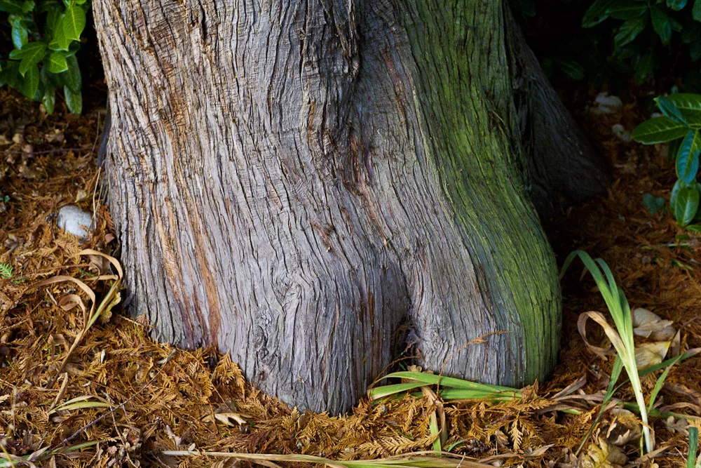 A photograph by Ali Bosworth in the selection Fall 2011