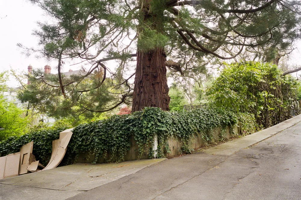A photograph by Ali Bosworth in the selection Spring 2012