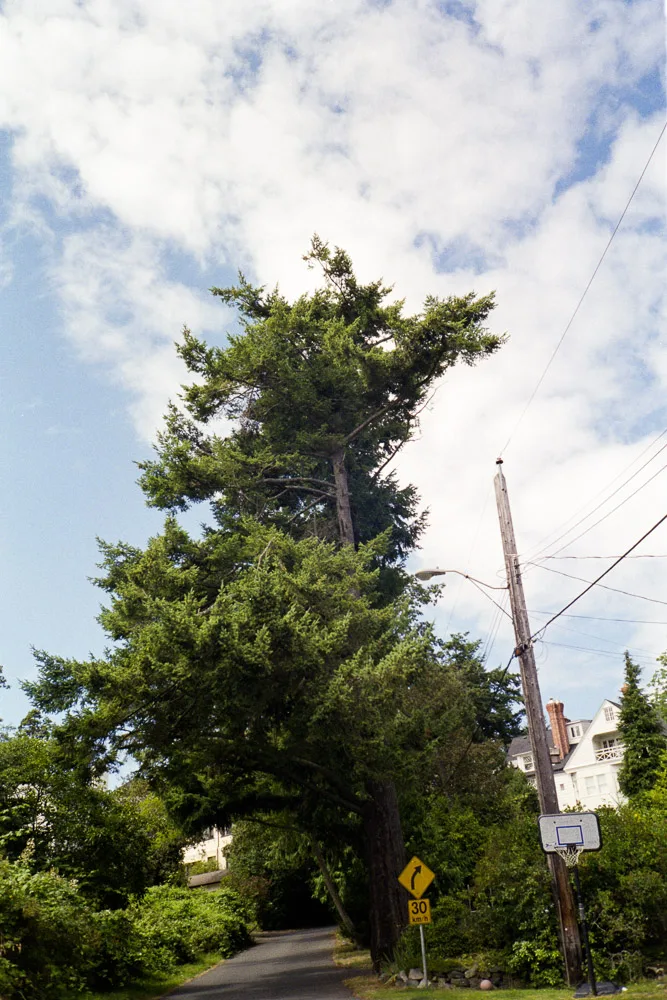 A photograph by Ali Bosworth in the selection Summer 2012