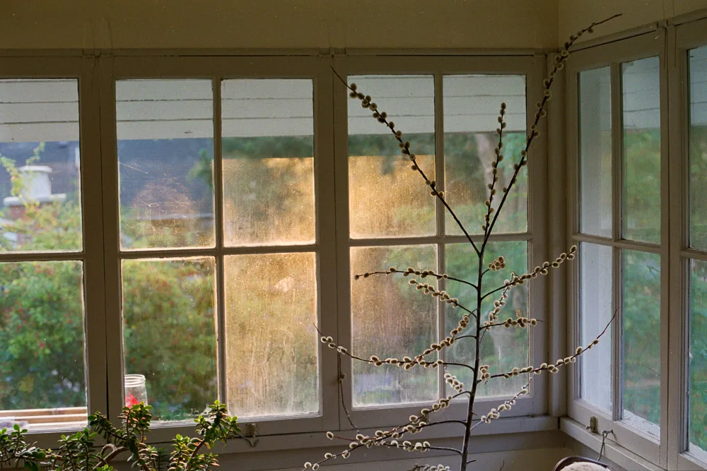 A photograph by Ali Bosworth in the selection Fall 2012