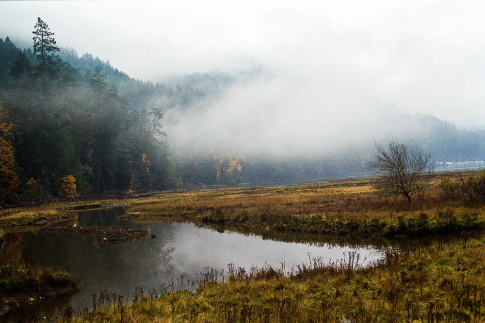 A photograph by Ali Bosworth in the selection Fall 2012