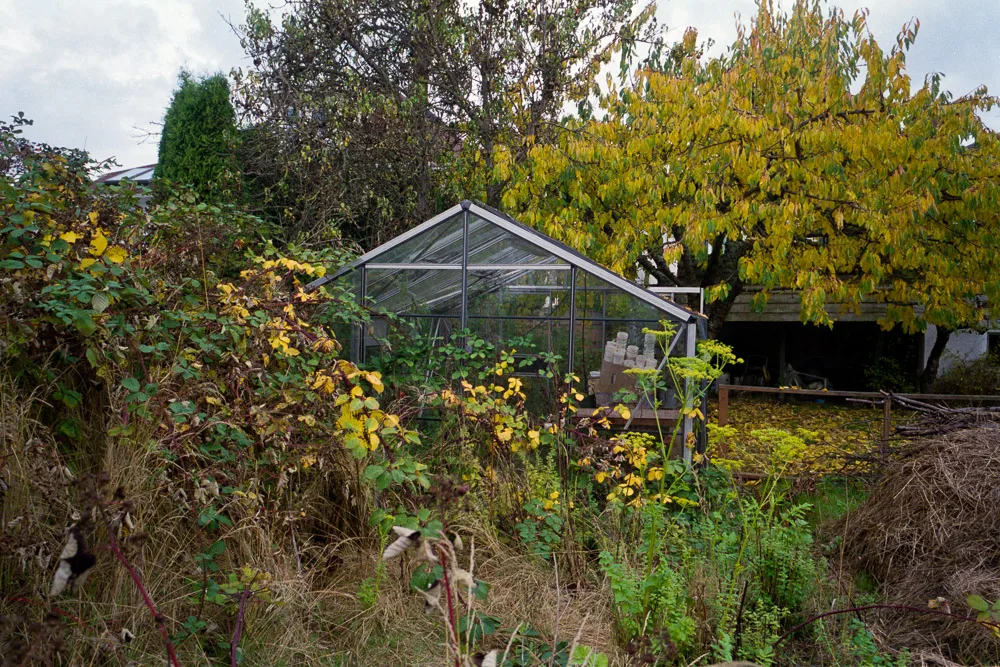 A photograph by Ali Bosworth in the selection Fall 2012