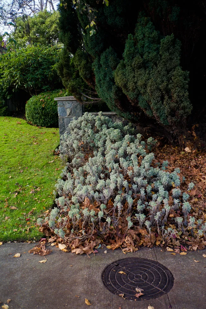 A photograph by Ali Bosworth in the selection Fall 2012