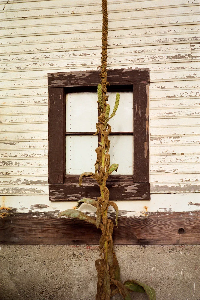 A photograph by Ali Bosworth in the selection Winter 2012