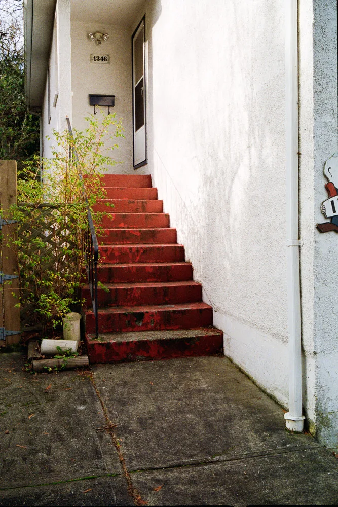 A photograph by Ali Bosworth in the selection Winter 2012
