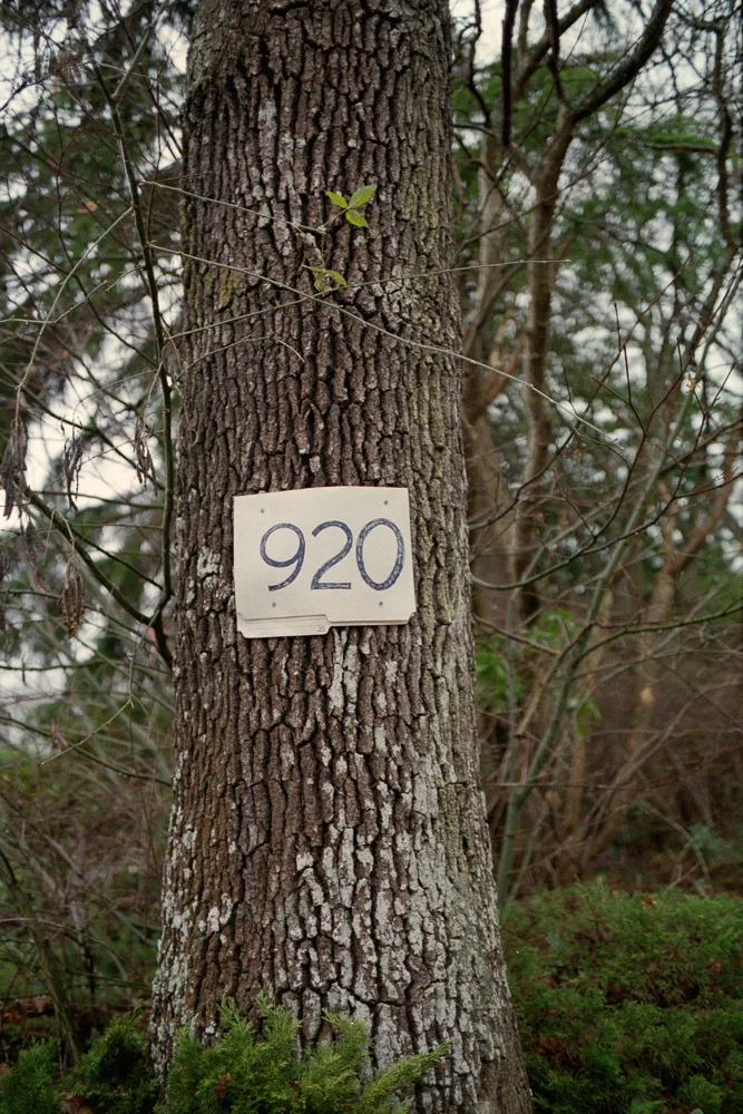 A photograph by Ali Bosworth in the selection 2013 - Selection A