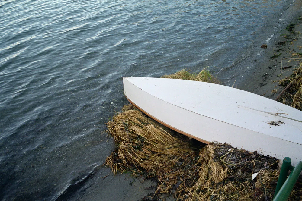 A photograph by Ali Bosworth in the selection 2013 - Selection C