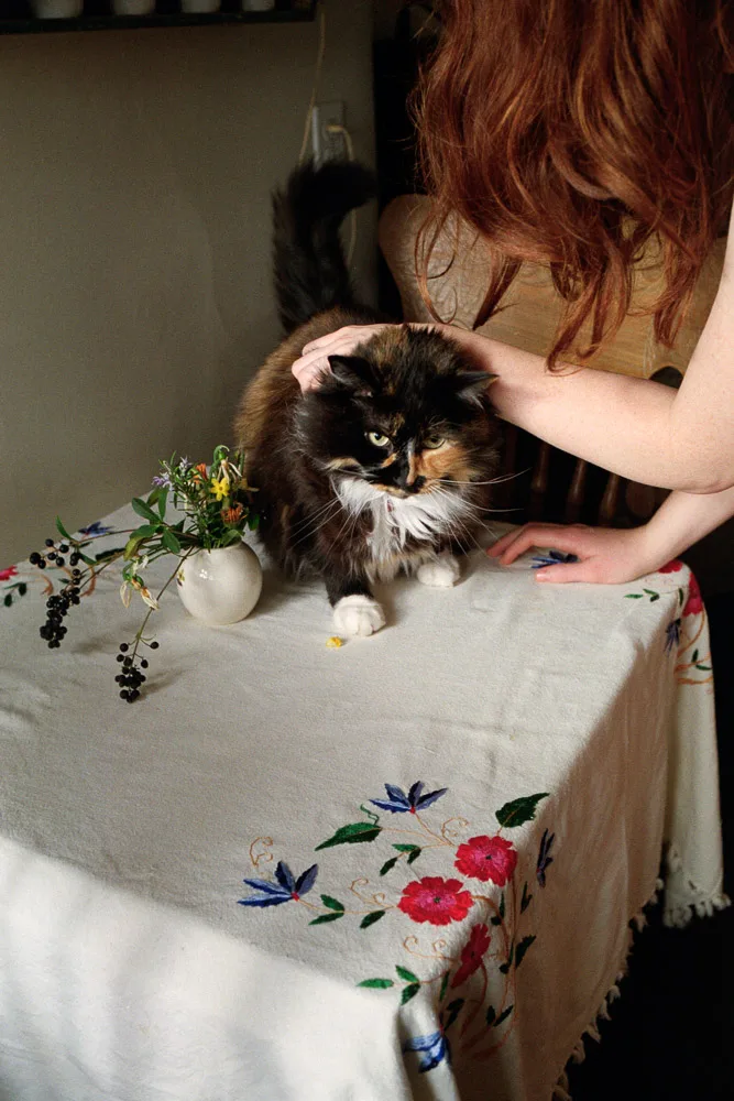 A photograph by Ali Bosworth in the selection 2013 - Selection A