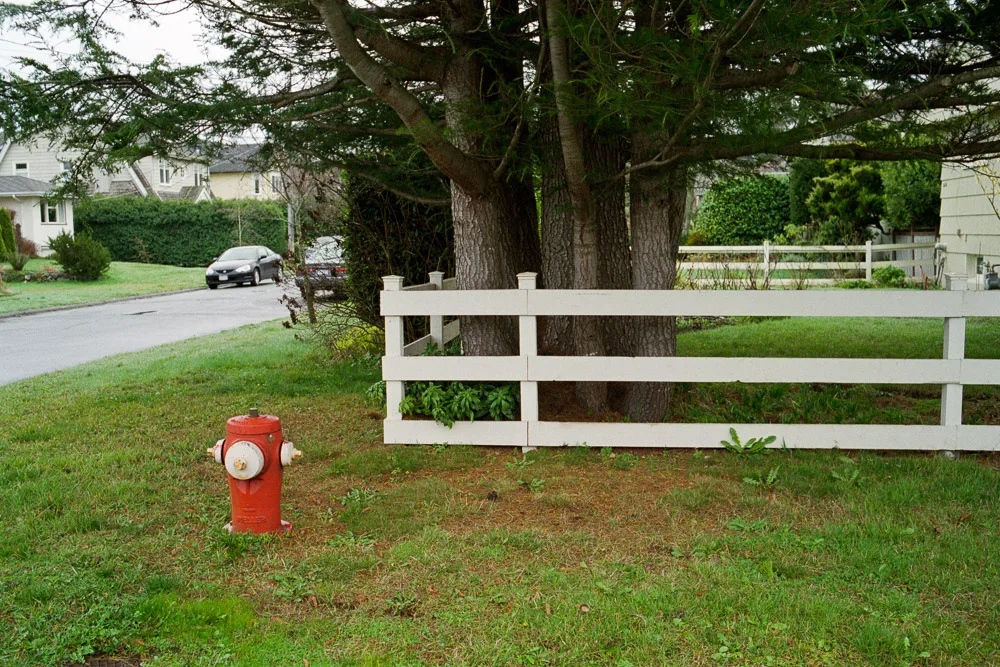 A photograph by Ali Bosworth in the selection 2013 - Selection A