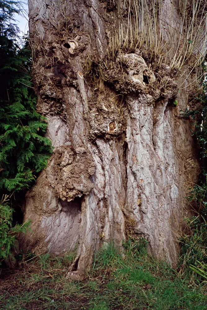 A photograph by Ali Bosworth in the selection 2013 - Selection D