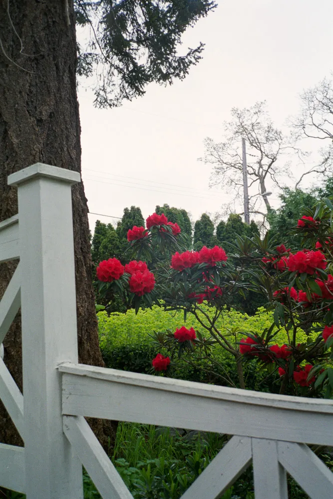 A photograph by Ali Bosworth in the selection 2013 - Selection B