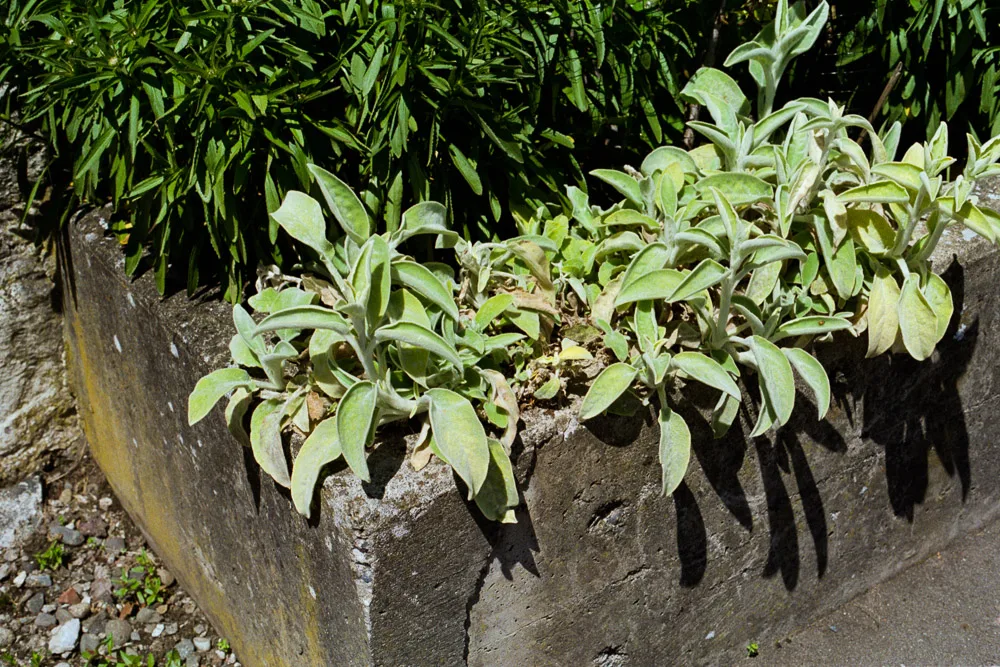 A photograph by Ali Bosworth in the selection 2013 - Selection B