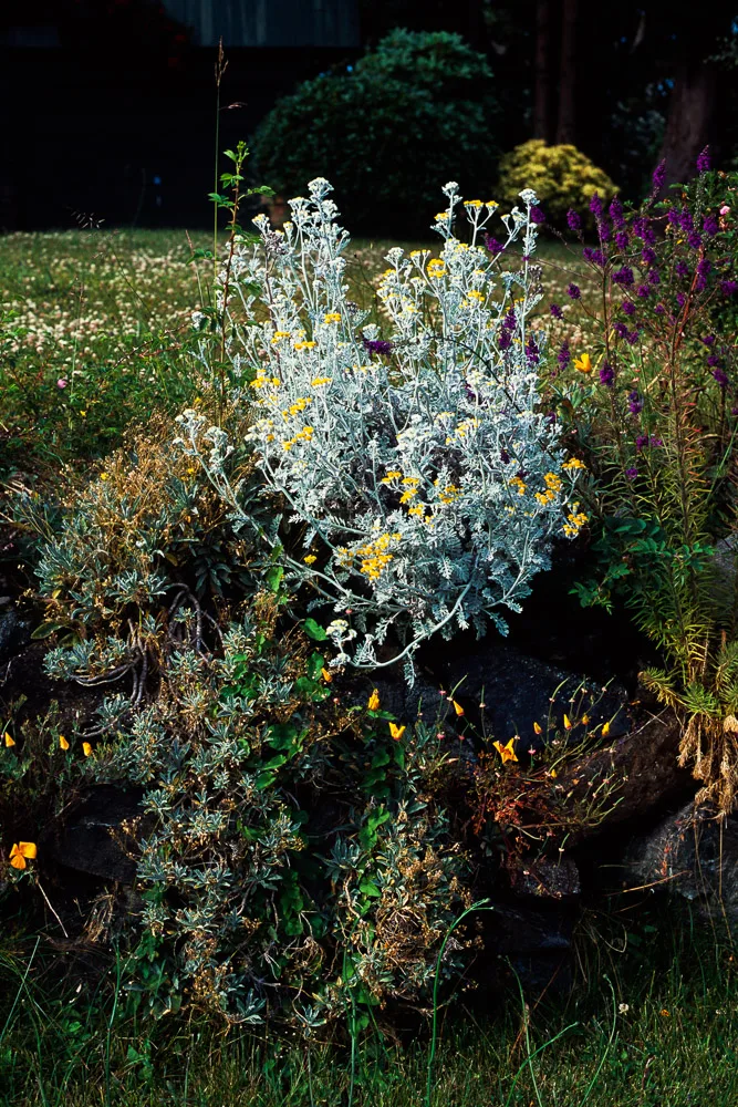A photograph by Ali Bosworth in the selection 2013 - Selection C