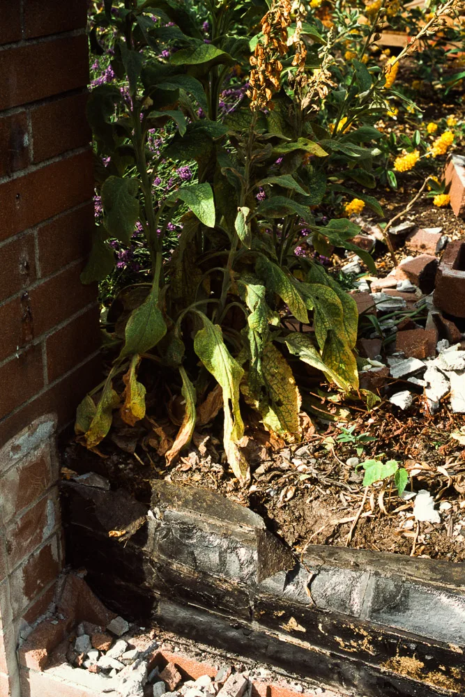 A photograph by Ali Bosworth in the selection 2013 - Selection A