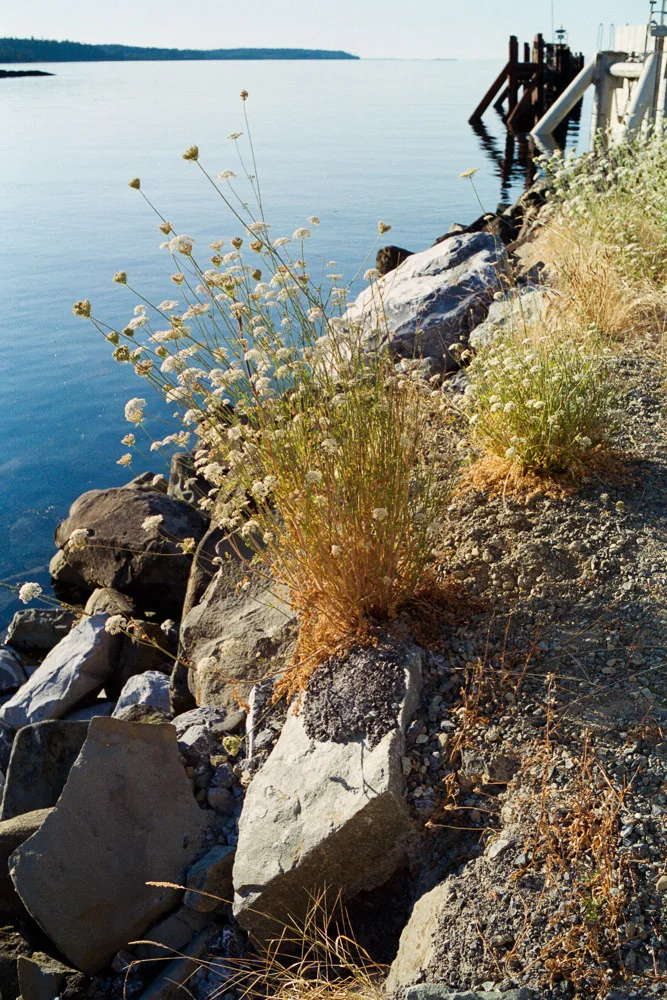 A photograph by Ali Bosworth in the selection 2013 - Selection C