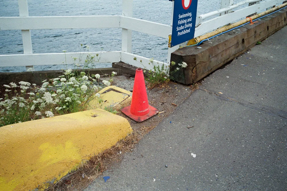 A photograph by Ali Bosworth in the selection 2013 - Selection B