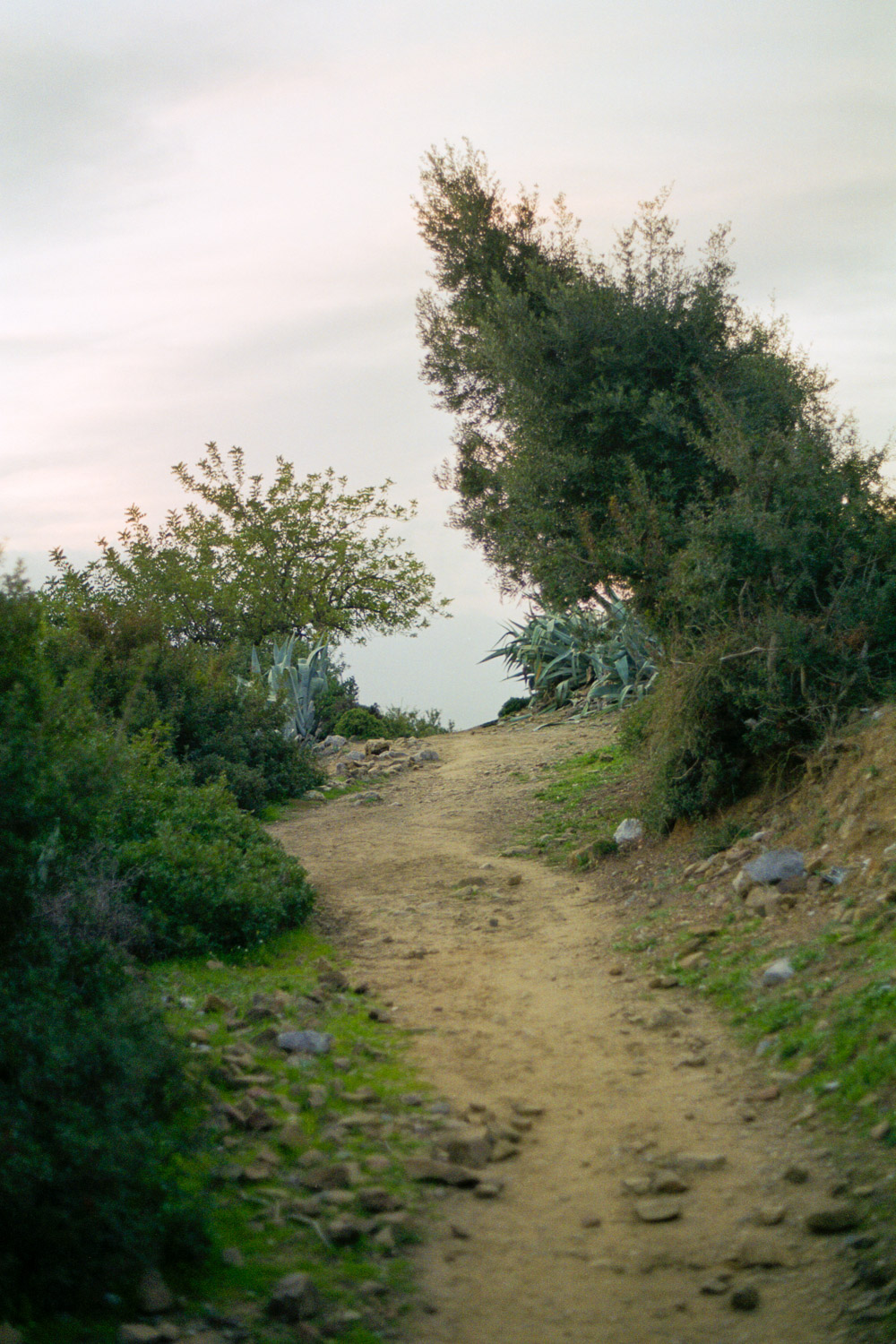 Several Scenes