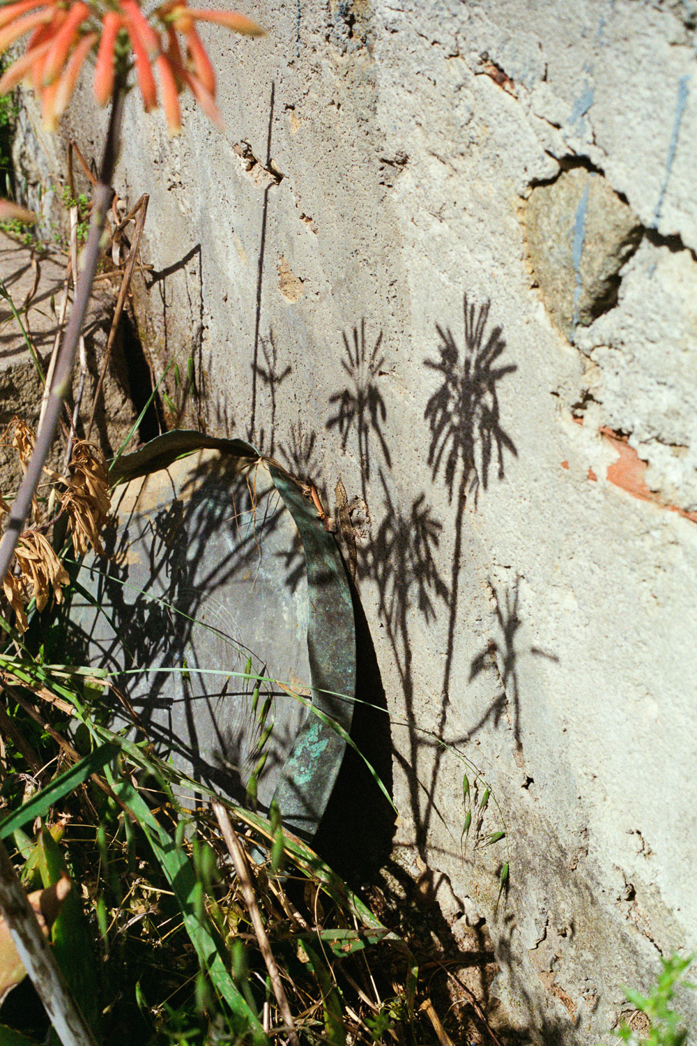 Several Scenes