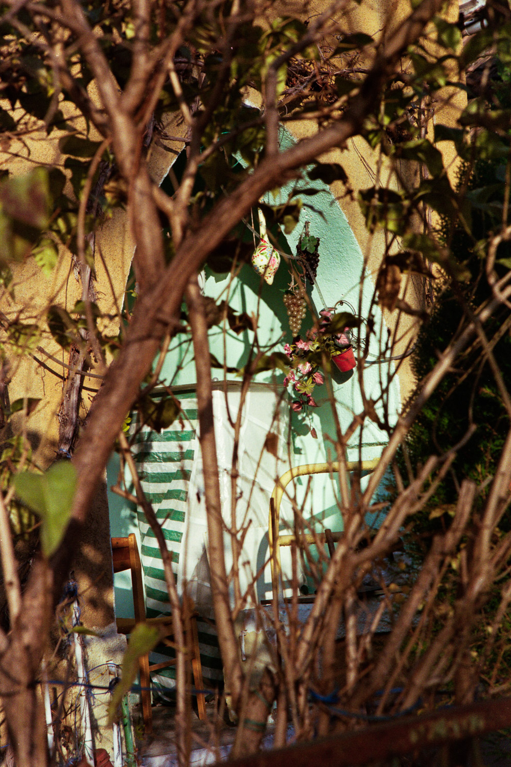 Several Scenes